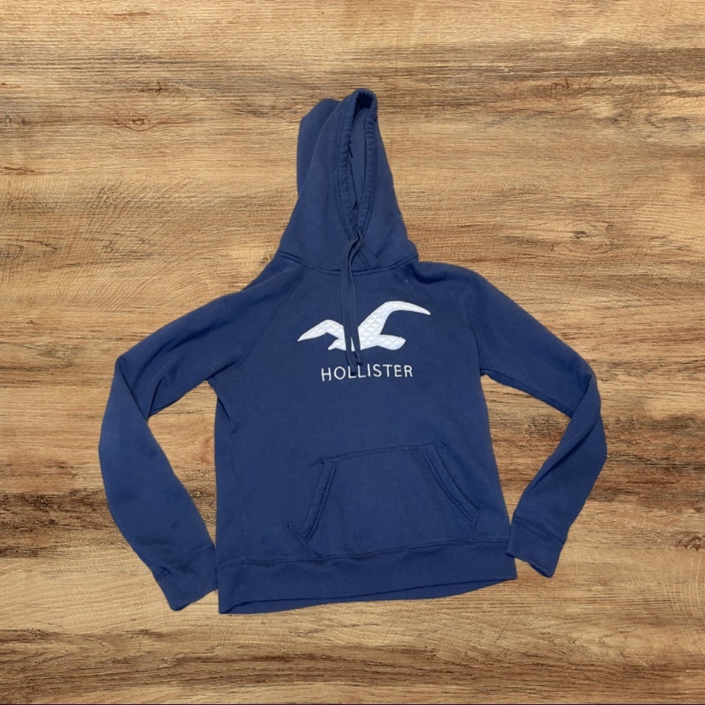 Blue Hollister Hoodie